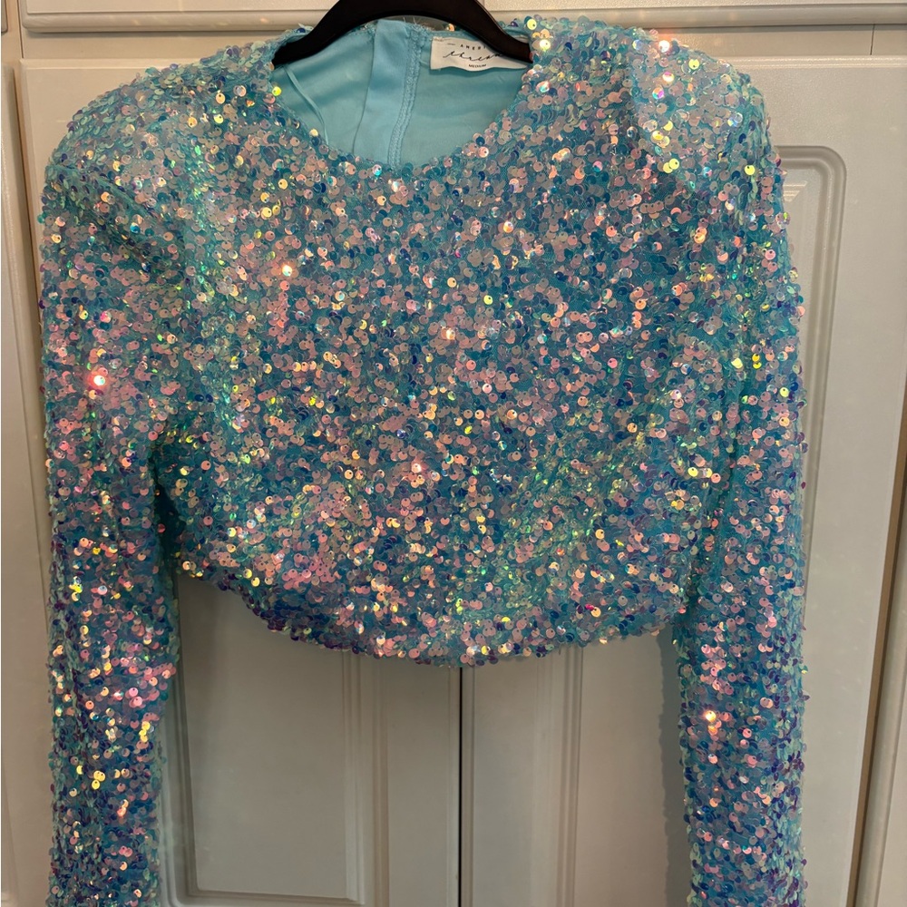 American Threads Sequin Embellished Long Sleeve Crop Top